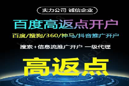 高效百度推广案例解析及优化策略